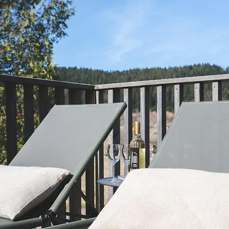 L'urson, Spacieux, Jacuzzi, Hammam Et Sauna * Gérardmer