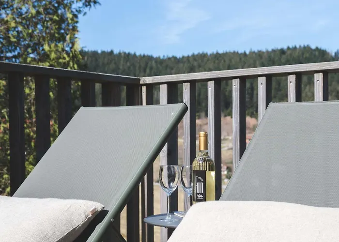 L'urson, Spacieux, Jacuzzi, Hammam Et Sauna * Gérardmer